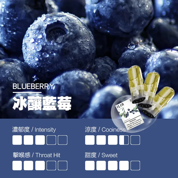 冰釀藍莓